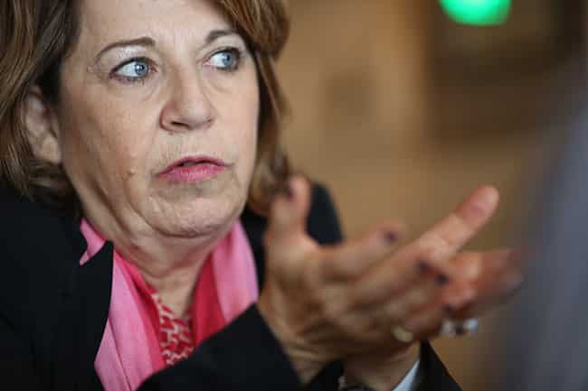 Corinne Lepage a officialisé l’alliance des sociaux-démocrates du Rassemblement citoyen à Jérôme Safar pour l’élection municipale à Grenoble