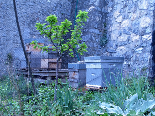 Jardin des Cairns Bastille Grenoble ruches