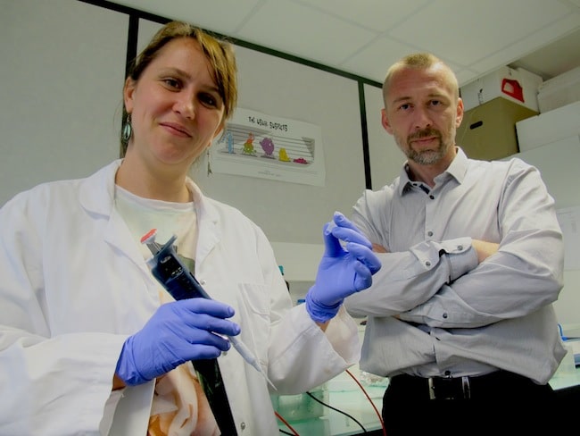 médicament contre le cancer : ET-D5 une molécule détruit les vaisseaux qui alimente les cellules tumorales