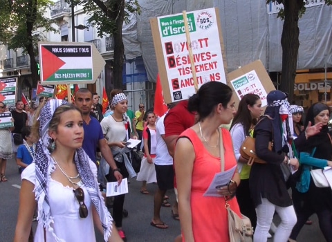 Rassemblement Palestine. © Joel Kermabon - placegrenet.fr