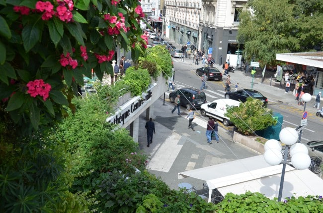 la terrasse de la bibliothèque du centre ville végétalisée.