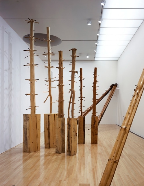Ripetere il bosco, 1969-1997 –   © Musée de Grenoble