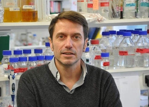 Frédéric Saudou, neurobiologiste et directeur de Grenoble Institut de Neurosciences, deux fois primé en 2014 pour ses travaux sur la maladie de Hutington. DR