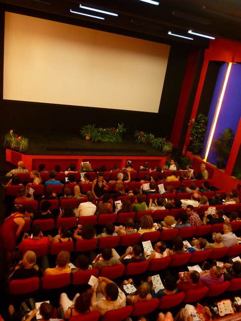 Le Festival a un budget d'environ 80.000 euros. © Zoé Neyrat - Cinémathèque de Grenoble