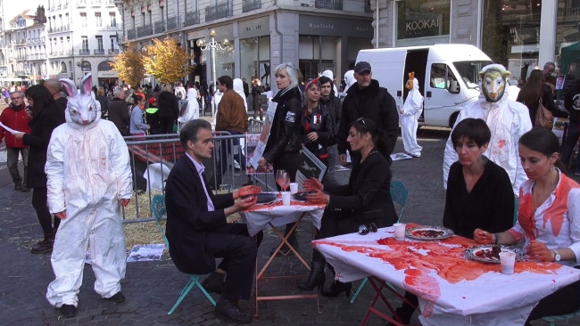 Un repas sanglant. © Joël Kermabon - Place Gre'net