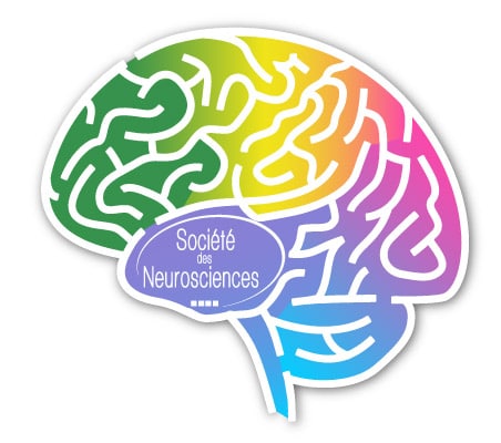Logo de la semaine du cerveau 2016. DR