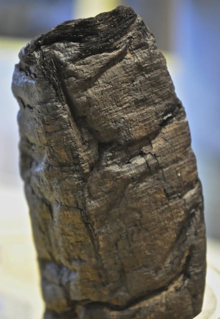 Une équipe scientifique internationale utilise les techniques d'imagerie non invasive par rayons-X pour lire des papyrus vieux de 2 000 ans ensevelis sous les coulées de boue après l'éruption du Vésuve en 79 après J-C. Un papyrus. Crédit E.Brun
