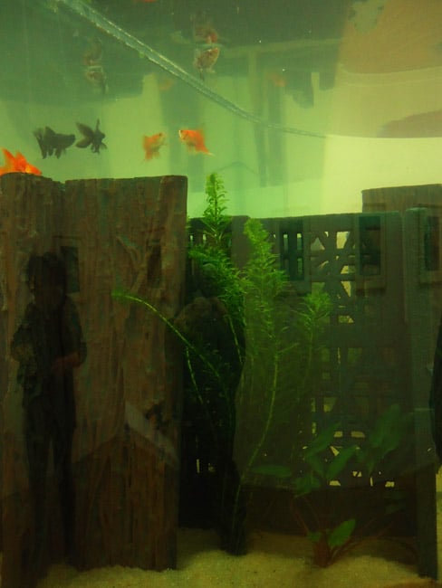 Exposition de Cristina Iglesias au Musée de Grenoble : Aquarium III. © Cassandre Jailliffier - placegrenet.fr