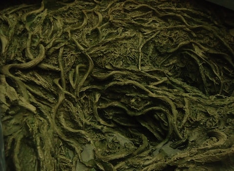 Oeuvre Puits I, tirée de l'exposition de Cristina Iglesias au Musée de Grenoble