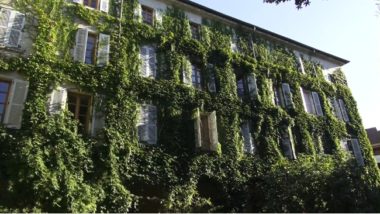 Le lierre sur une des façades de la cour du Vieux Temple. © Joël Kermabon - Place Gre'net