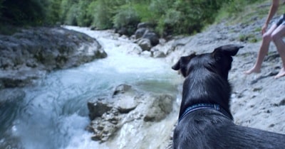 Capture d'écran du film Gorge, cœur, ventre de Maud Alpi, France, 2016. Lundi 14 novembre au cinéma Le Méliès, à 20 h 15. En présence de la réalisatrice.