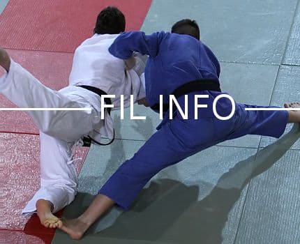 Image d'illustration judo
