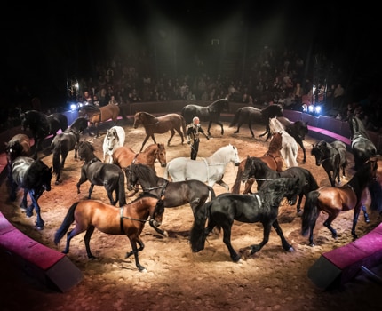 Spectacle "Quintessence" (cirque Alexis Gruss et compagnie des Farfadais). © Time to film