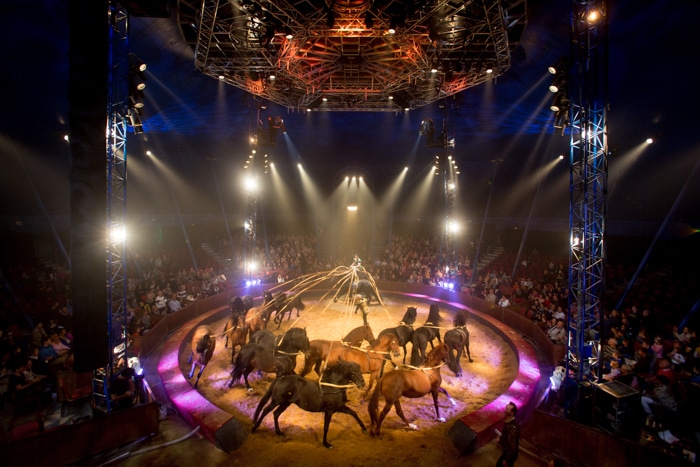 Spectacle "Quintessence" (cirque Alexis Gruss et compagnie des Farfadais). © Time to film