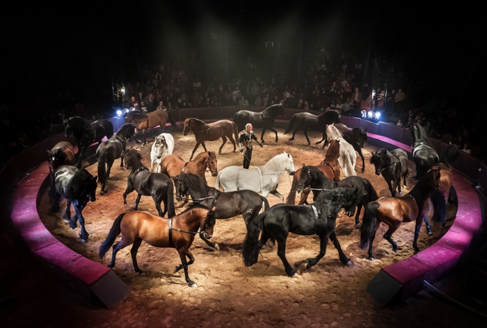 Spectacle "Quintessence" (cirque Alexis Gruss et compagnie des Farfadais). © Time to film