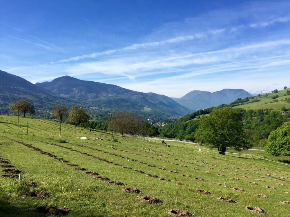 Houblonnière bio de Saint-Martin d'Uriage