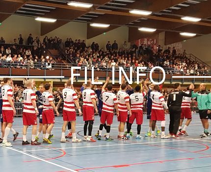 Après avoir obtenu le feu vert des instances du handball français, le Grenoble - Saint-Martin-d'Hères-Guc jouera bien en deuxième division lors de la saison 2018-2019. © GSMH-Guc