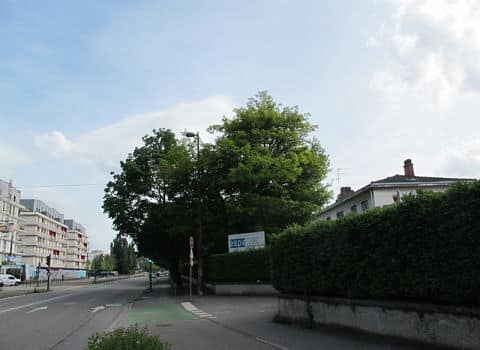 UNE Le secteur "Berthelot-Zola", terrain de l'Espé sera construit en 2020 dans le cadre de la Zac Flaubert, ville en transition. Juin 2018. © Séverine Cattiaux - Place Gre'net