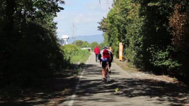 200 000 arbres sont menacés de disparaître le long de l'Isère et du Drac, selon la Frapna. En cause, la surveillance des digues et les travaux sur l'A480.Voie sur berge - Elisa Montagnat