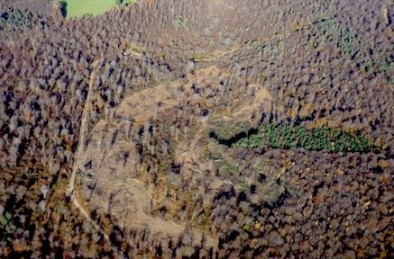 Dans la forêt des Chambarans occupée par les zadistes, le défrichement des 90 hectares du projet de Center parcs n'est pas terminé © Center parcs en faillite financière.