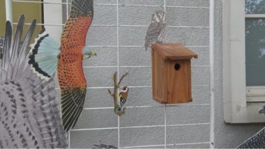 Déjà 500 nichoirs à oiseaux ont été installés dans le cadre du budget participatif de la Ville de Grenoble. Une démarche pour soutenir la biodiversité.