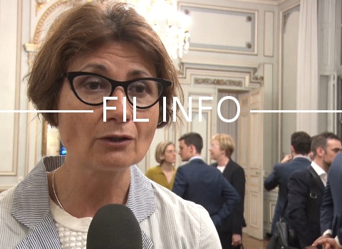 Valérie Doubinsky, 62e sur la liste PS, Place publique, Nouvelle donne pour les élections européennes. © Joël Kermabon - Place Gre'net