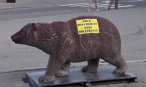 Appel au boycott des cirques avec animaux dans les rues de Villard-de-Lans (Isère). Alors que la prise de conscience grandit, les maires restent démunis.