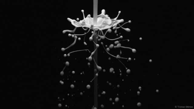 bloom©tristan menez