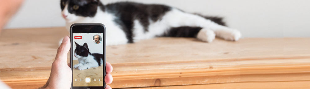 Solution : propriétaire d'animal Linkyvet © Linkyvet