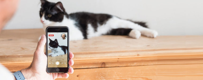 Solution : propriétaire d'animal Linkyvet © Linkyvet