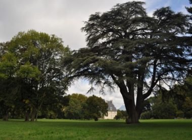 Parc du château de Sassenage