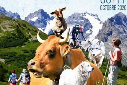 Projections et expositions à l'occasion du Festival Pastoralismes et grands espaces du 8 au 11 octobre