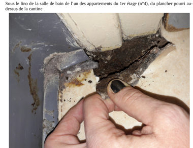 Insalubrité, mal-logement, sous le lino de la salle de bains de l'un des appartements du 1er étage (n°4) du plancher pourri au-dessus du restaurant du jardin de ville. DR