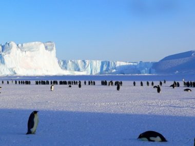Vue de l'Antarctique. DR