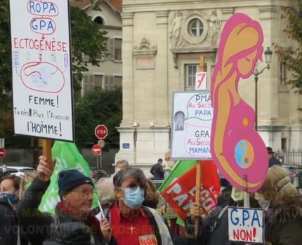 Le mouvement anti-PMA Marchons enfants manifeste à Grenoble samedi 30 janvier