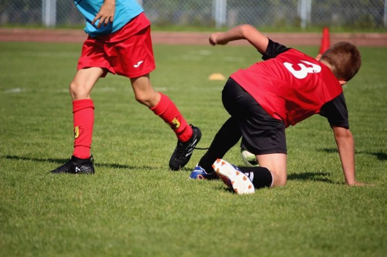 Meylan invite enfants et ados à découvrir les activités sportives dans ses équipements les 28 et 29 août