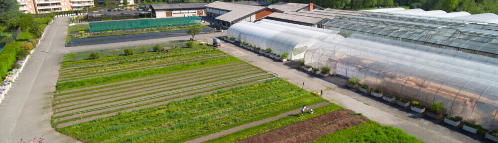 La Ville de Grenoble installe un "espace biodiversité à vocation pédagogique" au sein de son centre horticole