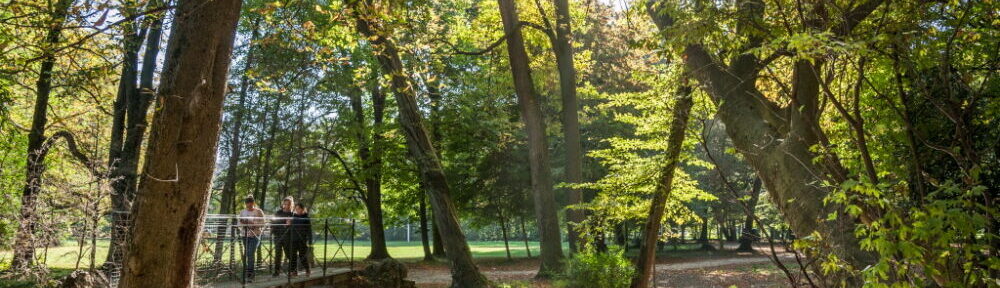 La Ville de Fontaine lance une consultation pour "redonner une bouffée d'air frais" à ses parcs et espaces verts