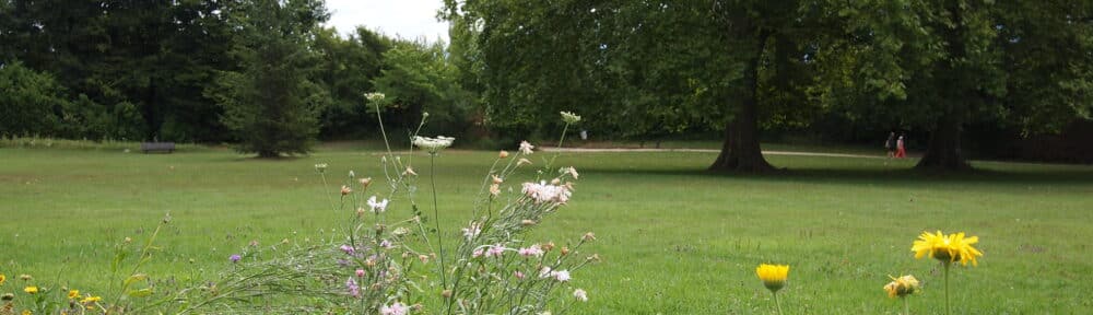 Le concours Capitale française de la Biodiversité révèle ses lauréats, sans la Métropole pourtant candidate