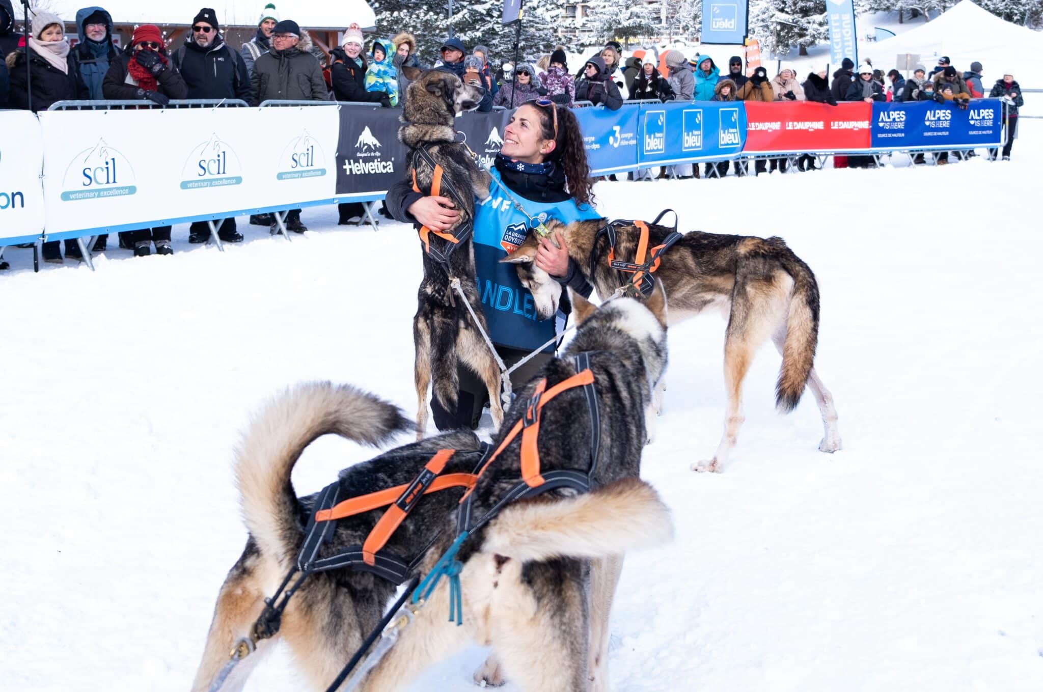 La "handler" câline les chiens à l'arrivée de l'étape de Villard-de-Lans.