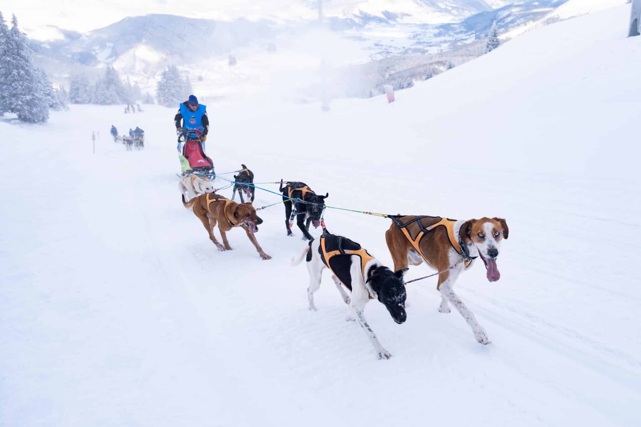 La dernière montée avant le sommet du parcours sur La Grande Odyssée 2023.