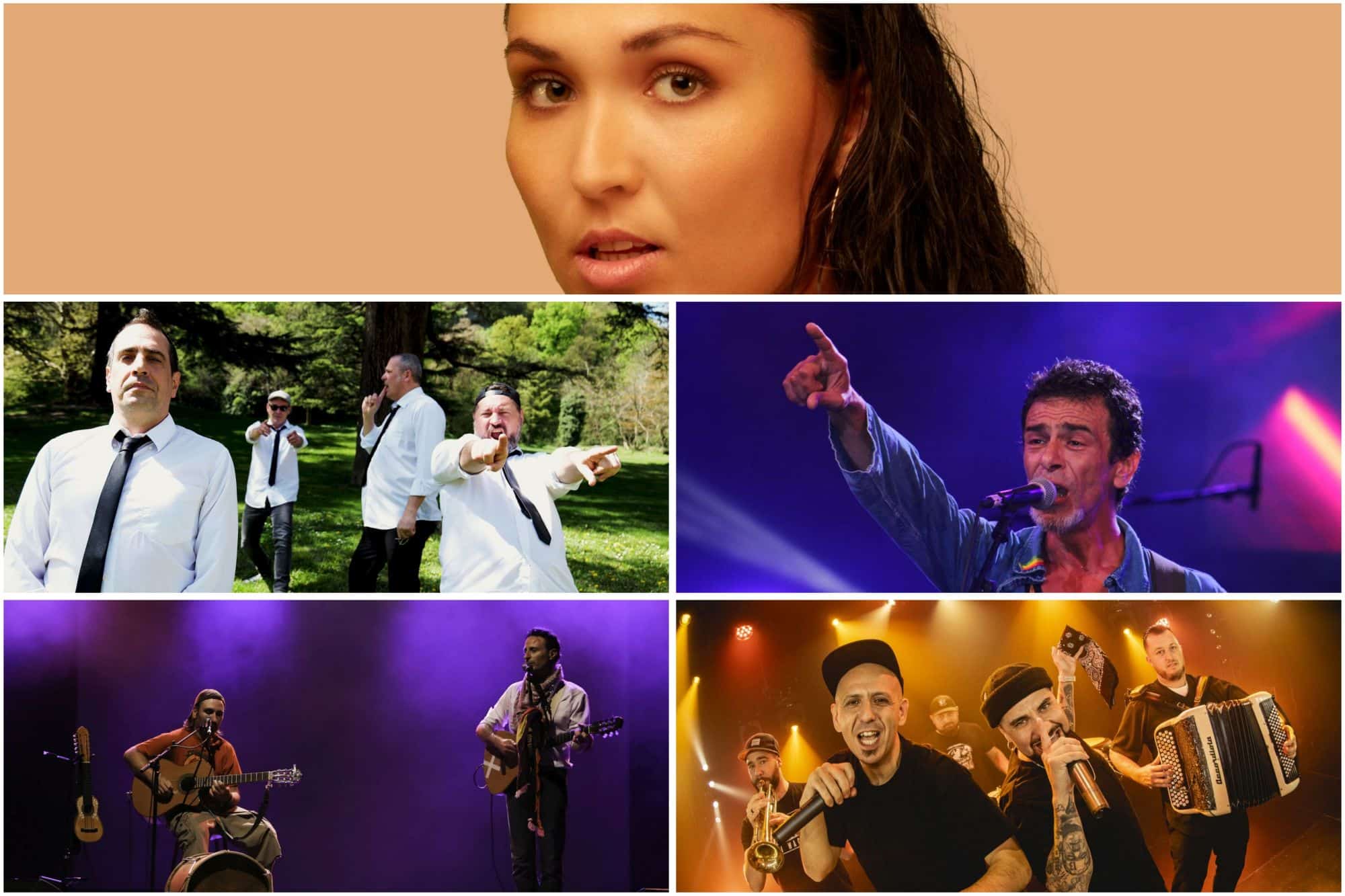 Dix groupes monteront cette année sur la scène de la Fête du Travailleur Alpin. Au programme : des styles très divers, du reggae au slam, en passant par le rock, la pop ou le blues. © Fifou 2 Fbeige et DR