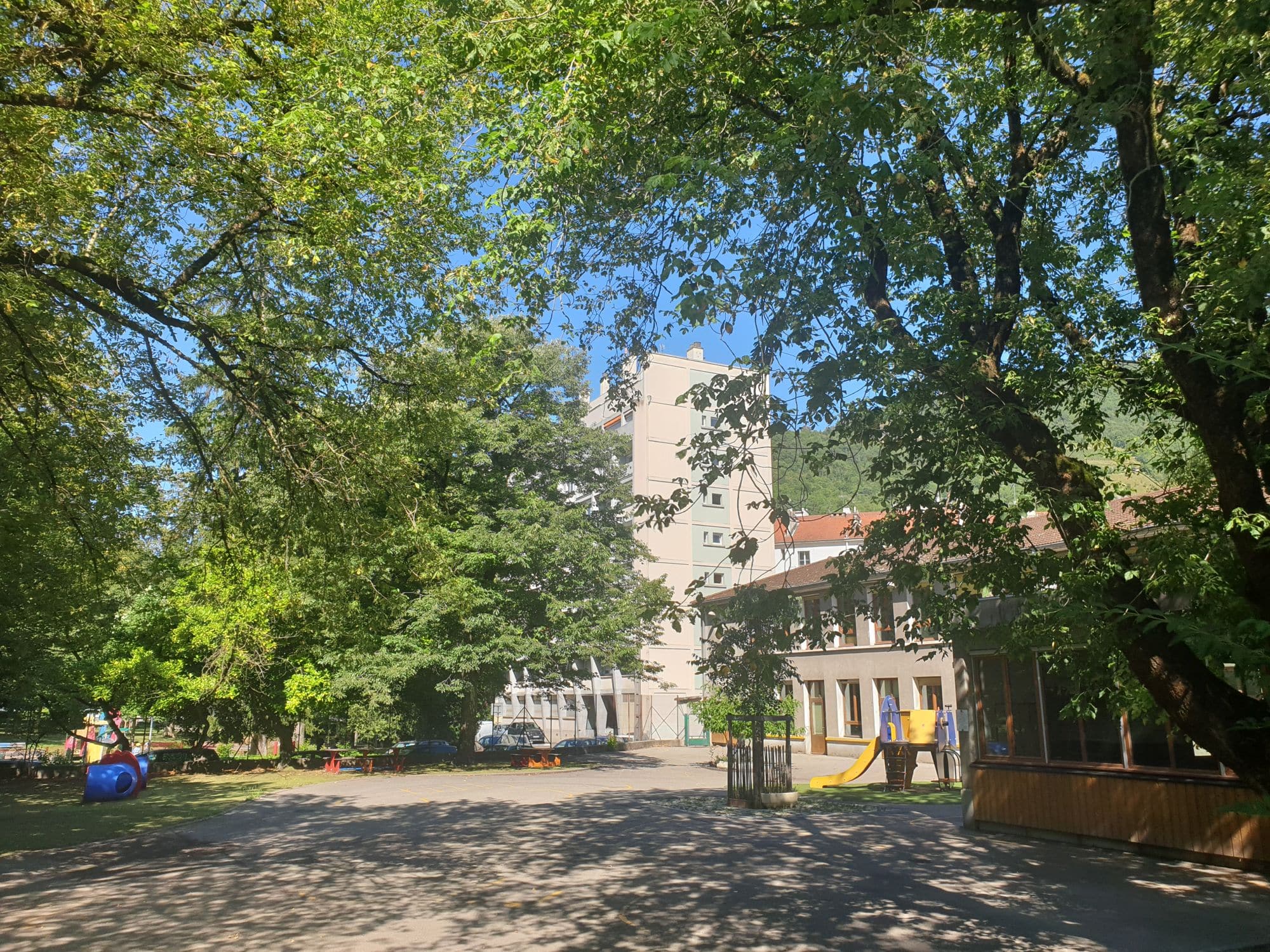 L'abattage d'arbres rue Aimon-de-Chissé se justifierait, d'après la Métro, par le risque que leur mauvais entretien pourrait faire courir aux enfants du groupe scolaire Paul-Bert. © Martin de Kerimel - Place Gre'net