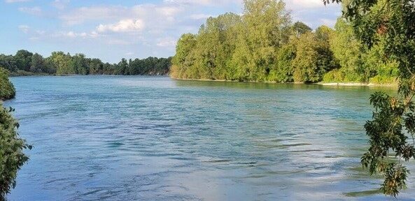 Les Écologistes de la Région Aura comme la LPO saluent l'abandon par l'État du projet de barrage Rhônergia