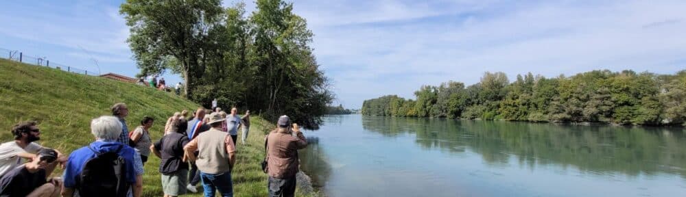 Les Écologistes Rhône-Alpes s'opposent à leur tour au projet de barrage Rhônergia