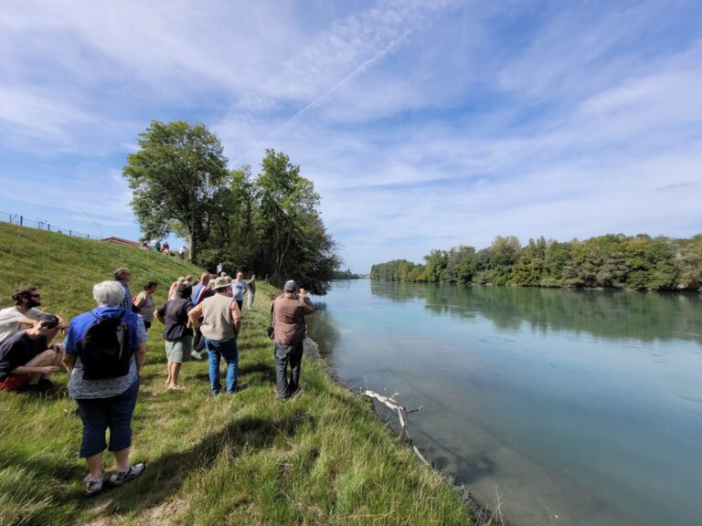 Les Écologistes Rhône-Alpes s'opposent à leur tour au projet de barrage Rhônergia