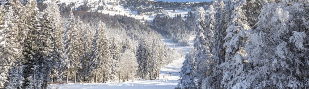 Le domaine de Chamechaude au coeur d'un contrat de réciprocité entre Métropole, Coeur de Chartreuse et Département