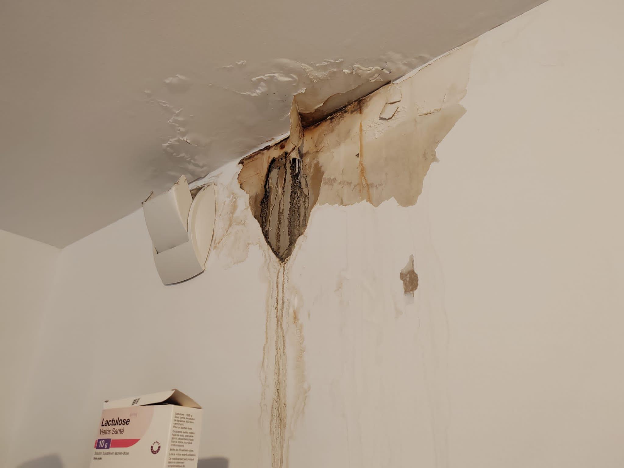 Dégât des eaux depuis trois ans, persistant, dans l'un des appartements de l'immeuble ABC sur l'écocité Presqu'île à Grenoble. Samedi 15 juin 2024 © Séverine Cattiaux- Place Gre'net