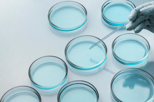 Boîtes de Pétri en laboratoire médical avec compte-gouttes. Analyse, eau. Crédit Freepik