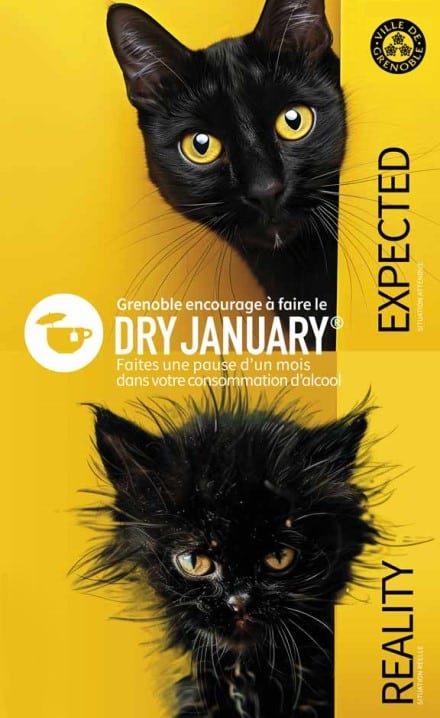L'affiche du Dry January 2025. © Ville de Grenoble
